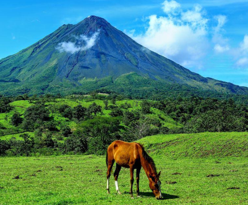 caballo pastando en costa rica con un volcán de fondo